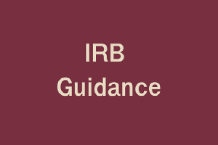 IRB Guidance