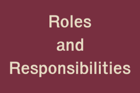 Roles and Responsibilities 