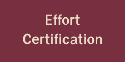 Effort Certification