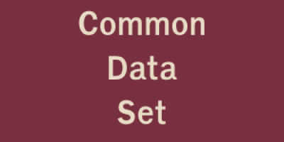 Common Data Set