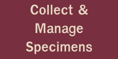 Collect and Manage Specimens