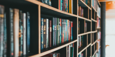 Literature Review